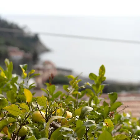 Profumo Di Salsedine Διαμέρισμα Bonassola